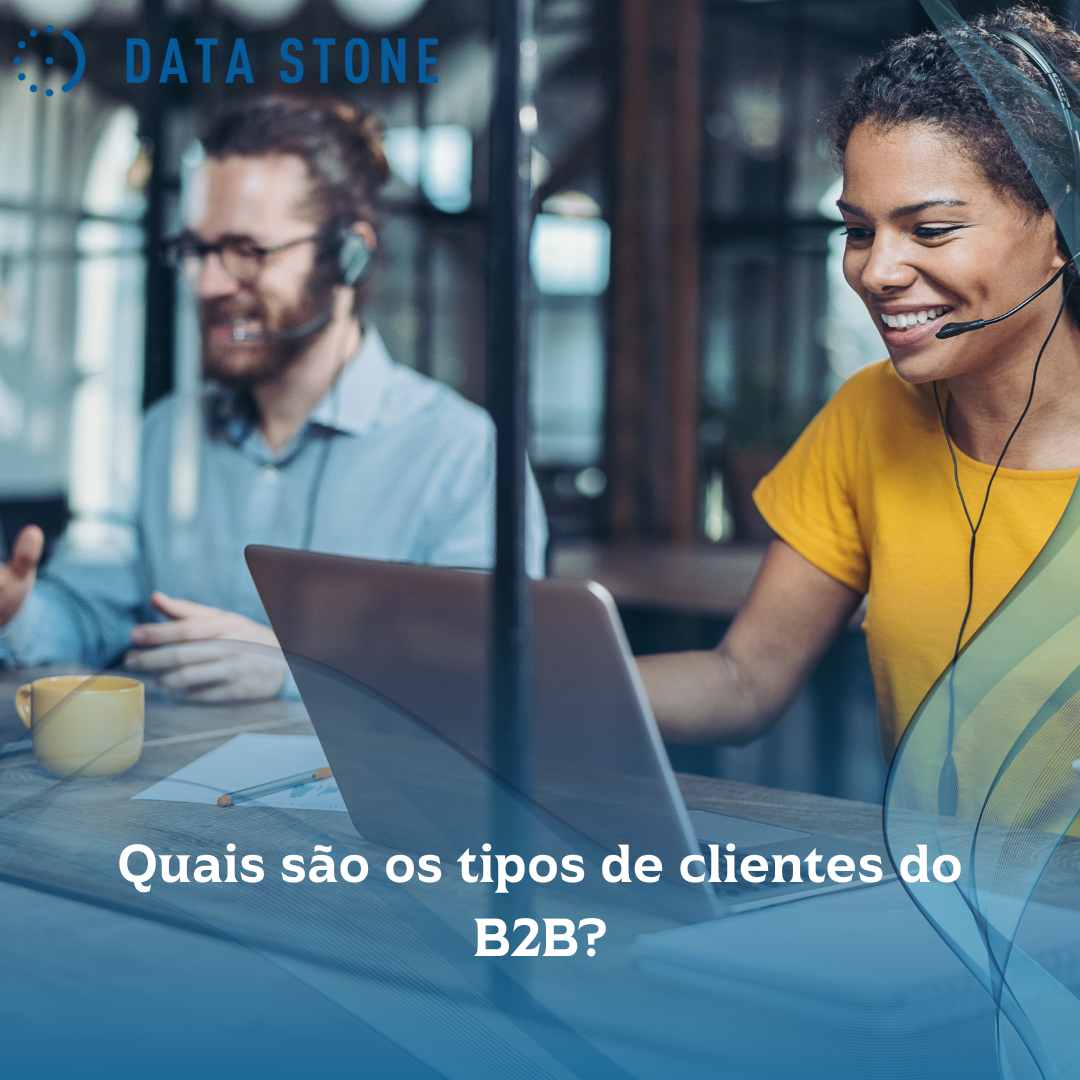 Quais são os tipos de clientes do B2B