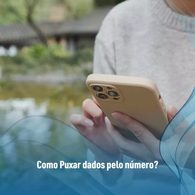 Como Puxar dados pelo número?