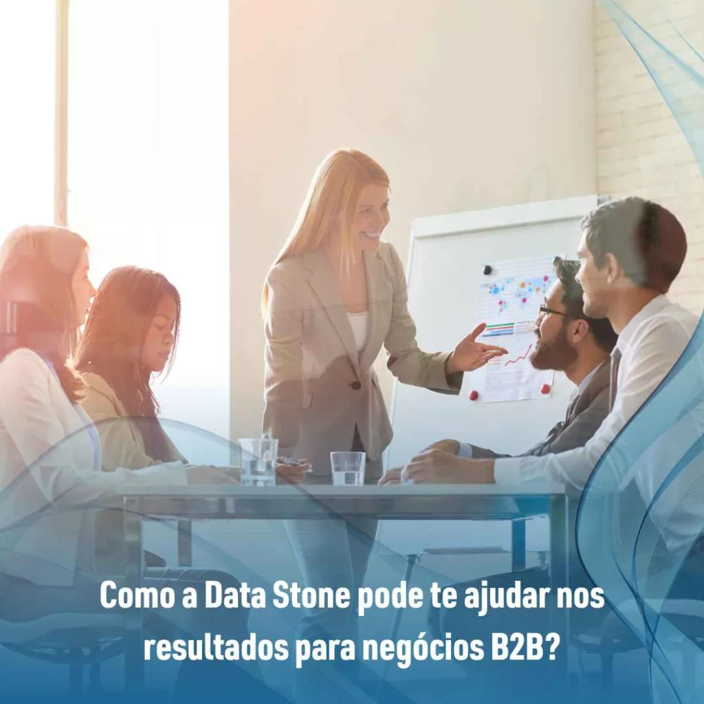 Como a Data Stone pode te ajudar nos resultados para negócios B2B?