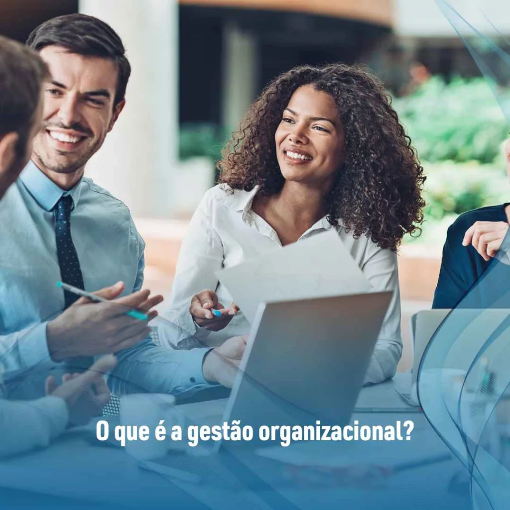 O que é a gestão organizacional?