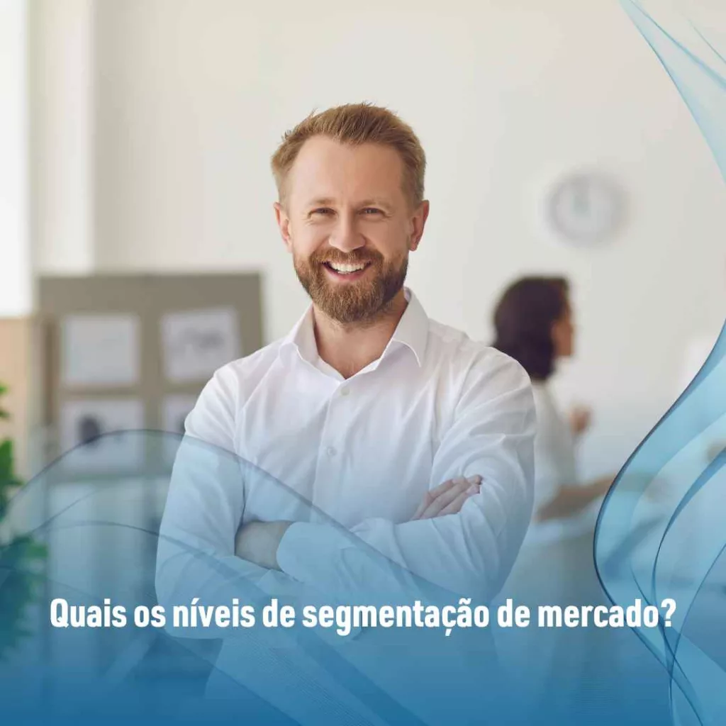 Quais os níveis de segmentação de mercado?