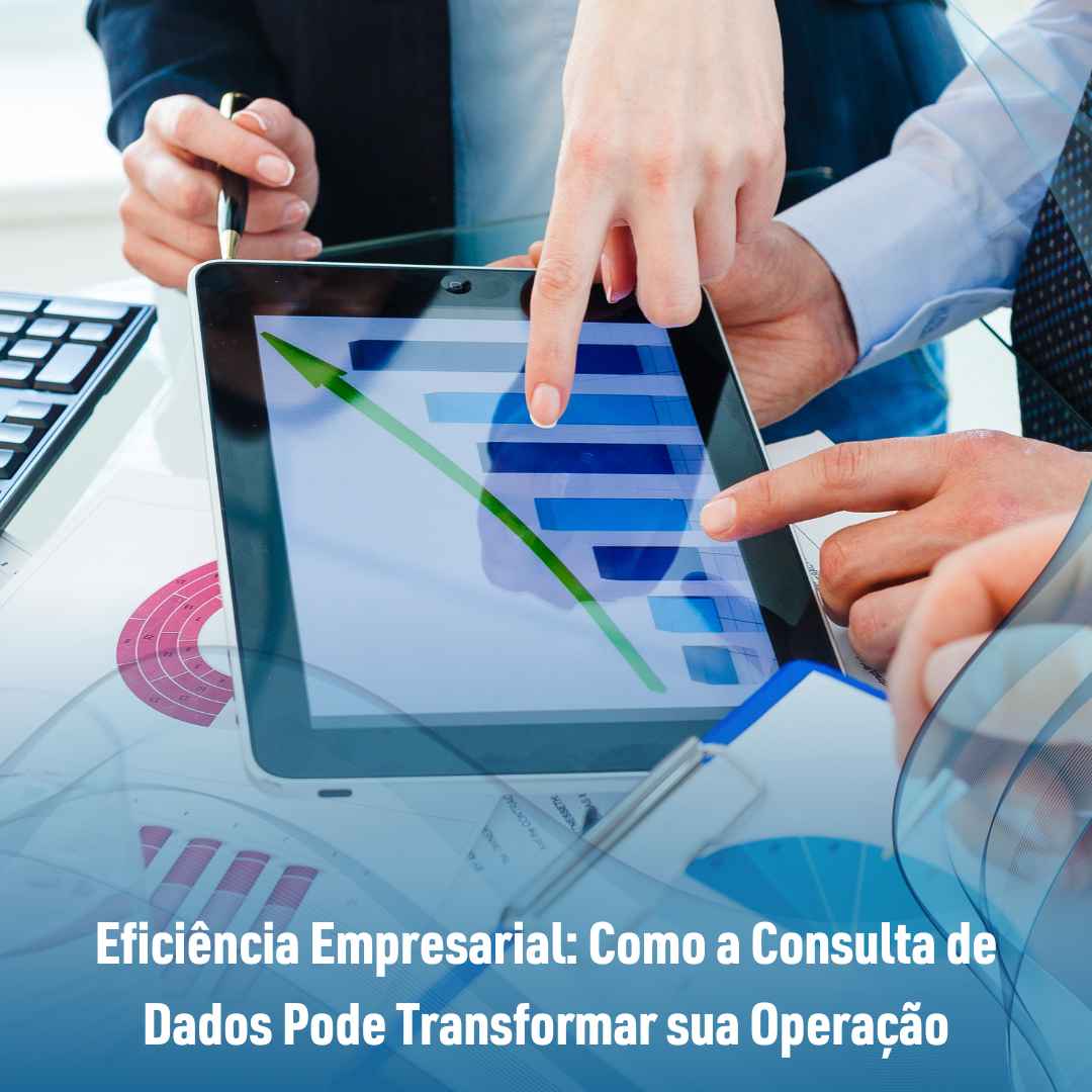 Eficiência Empresarial: Como a Consulta de Dados Pode Transformar sua Operação