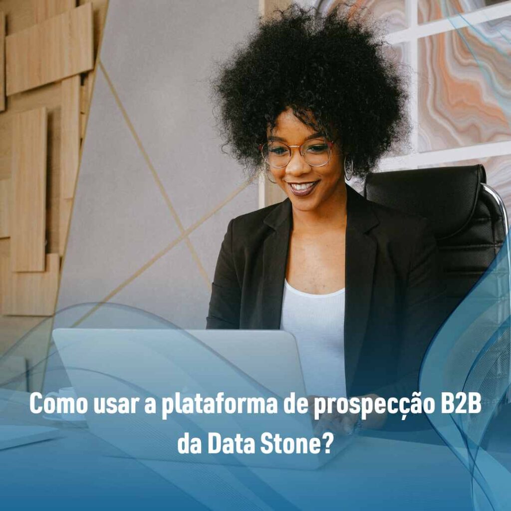 Como usar a plataforma de prospecção B2B da Data Stone